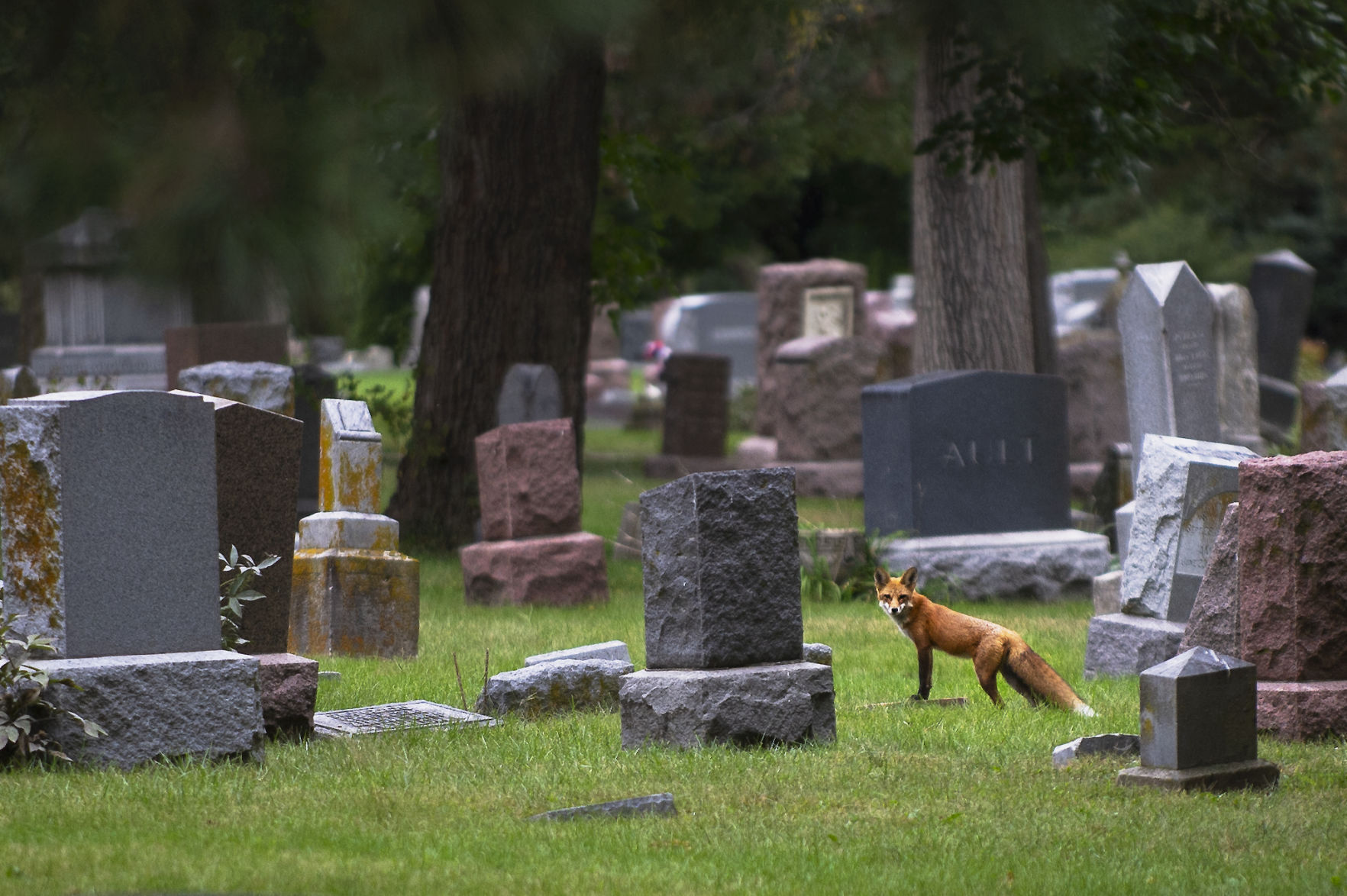 Top Journal Star photos for September